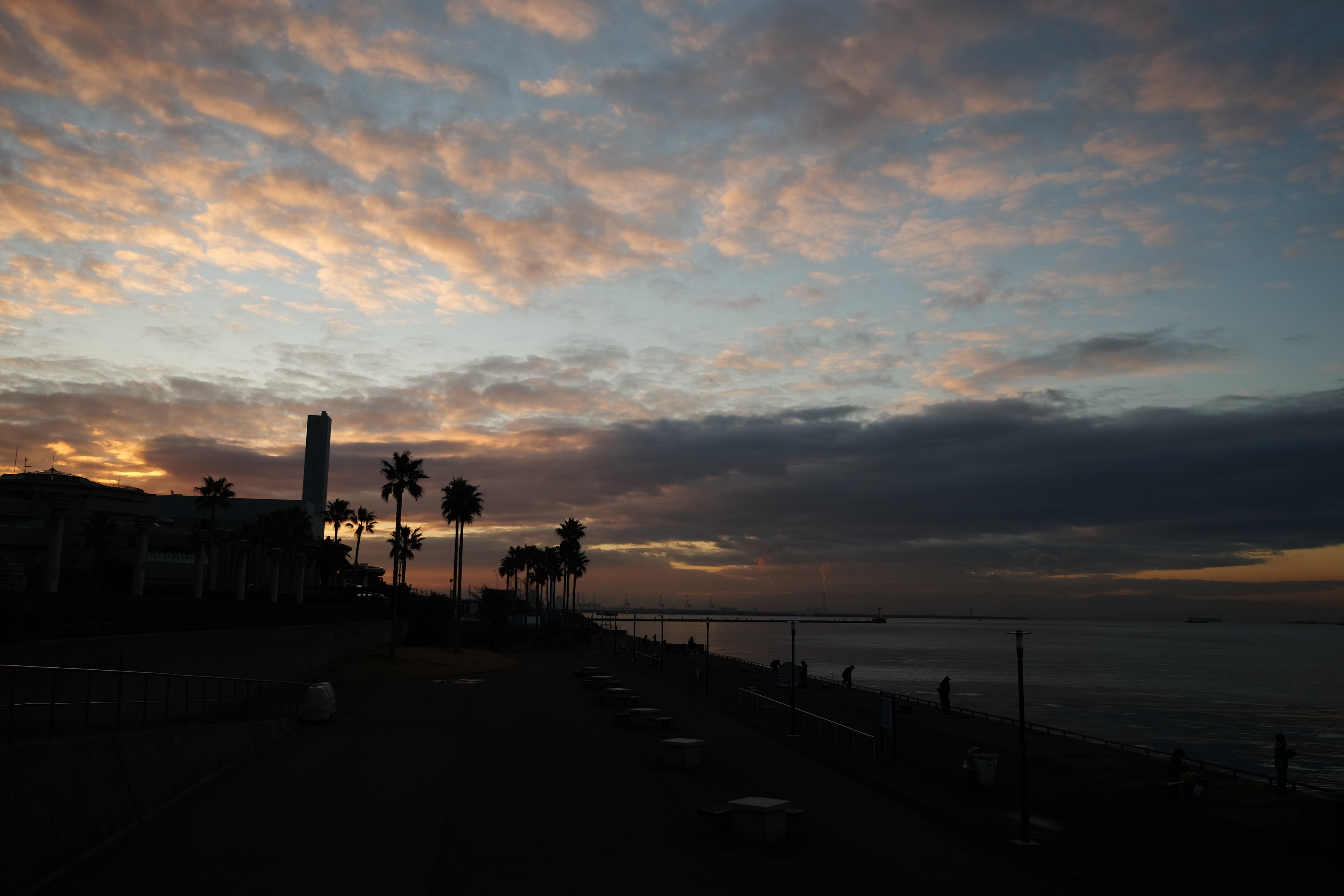 🌳 나루오하마 임해공원 (남지구) (나루오하마 린카이 코엔 미나미 치쿠) 이미지 7